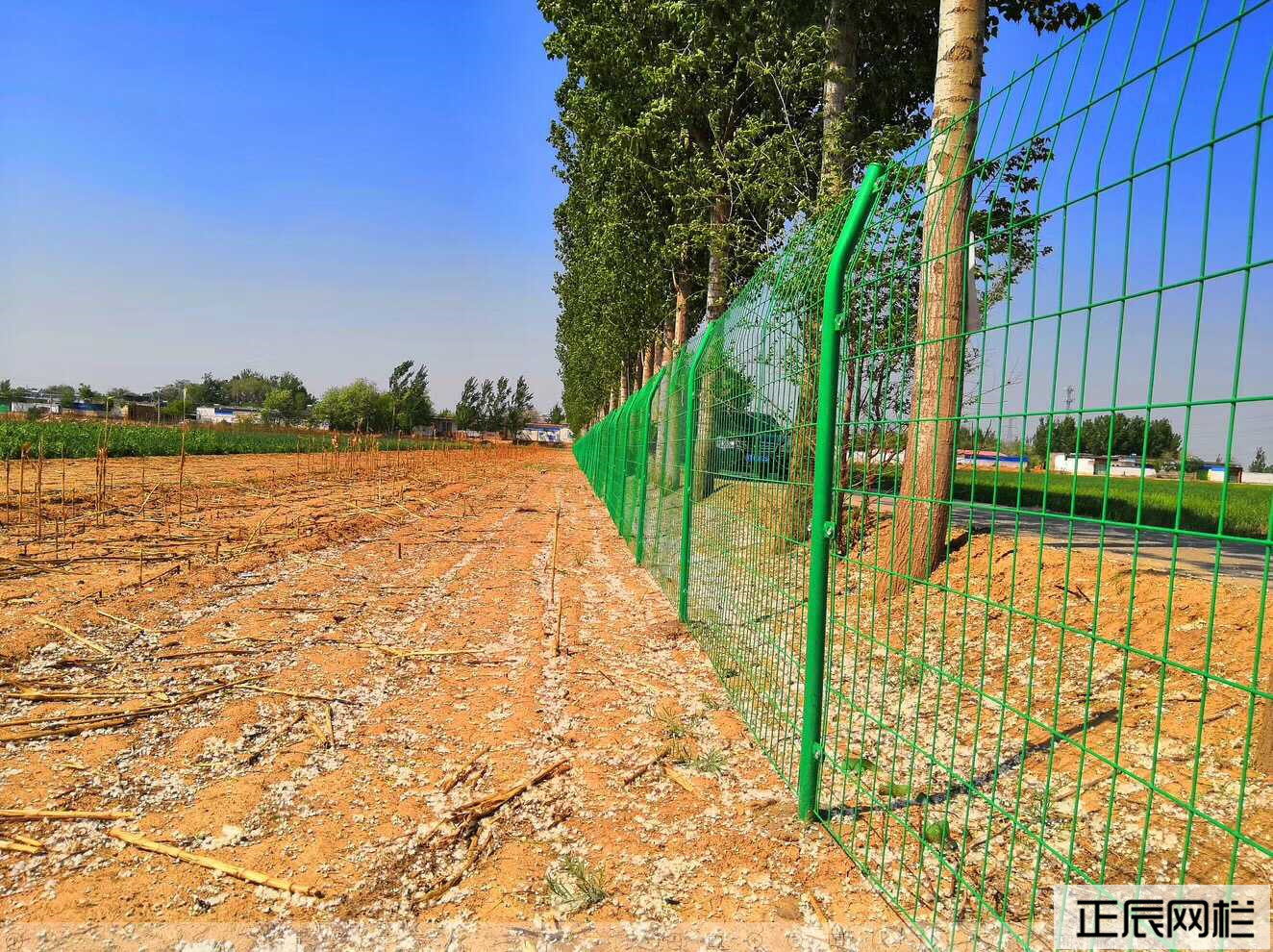 圈地護(hù)欄網(wǎng)