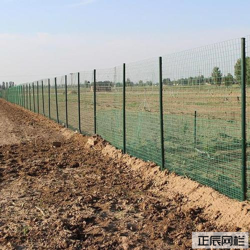 1636700169693119.jpg u=4250963440,3459947145&fm=26&gp=0.jpg