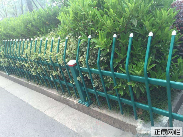 1642770852919498.jpg 20170419132624_0.jpg