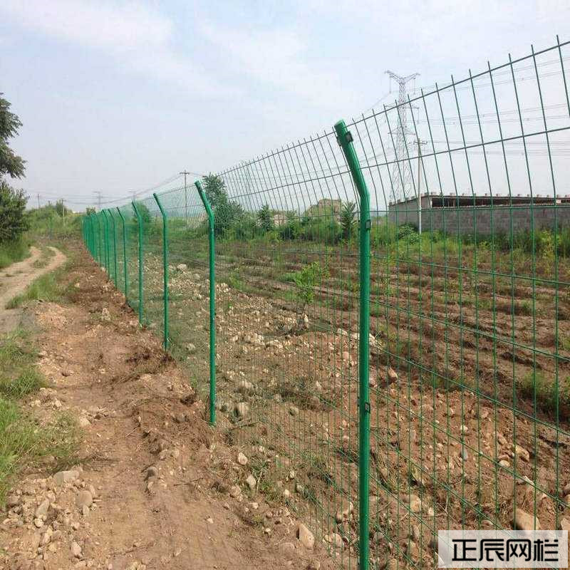 1645920992189887.jpg timg (11).jpg