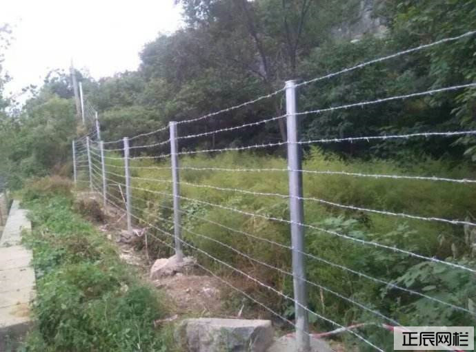 1646727407195963.jpg 刺鐵絲圍欄網(wǎng)