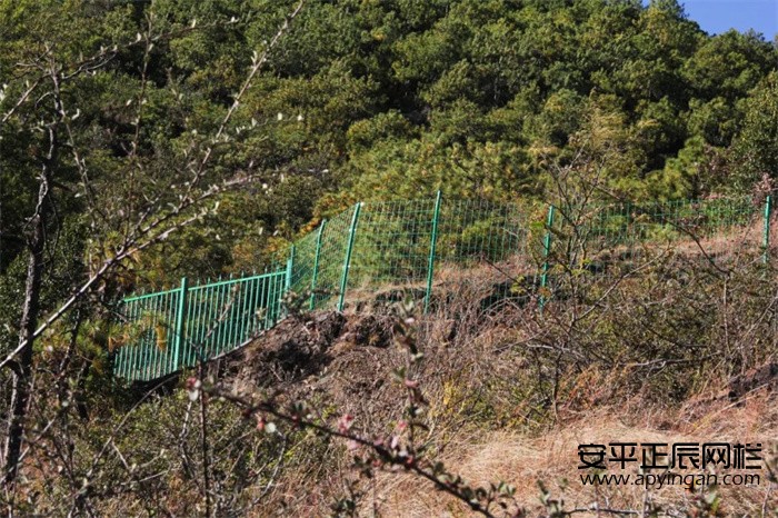 1656722042552400.jpg b38e5d8a3aec77295554e9d5f7fe7435.jpg