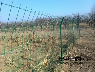 鐵絲網護欄網廠家