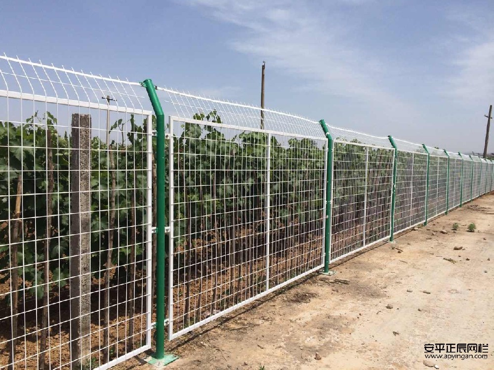 農田護欄網(wǎng)多少錢一米