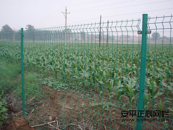 農田護欄網(wǎng)多少錢一米