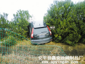 公路護(hù)欄網(wǎng)