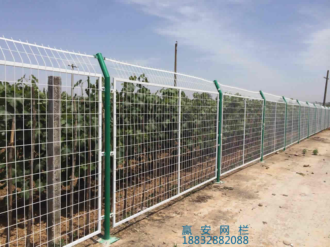 護欄網(wǎng)