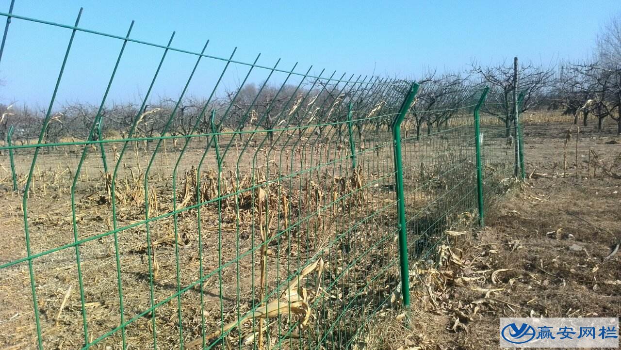 菜園圍欄網