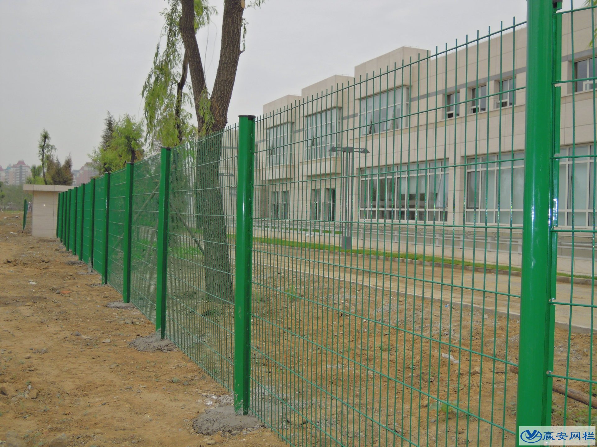 鐵絲圍欄網(wǎng)