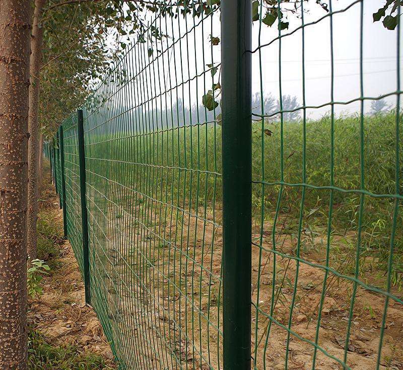 鐵絲網圍欄
