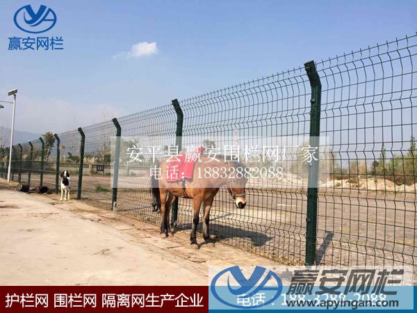 框架護(hù)欄網(wǎng)式養(yǎng)殖圍欄網(wǎng) 框架護(hù)欄網(wǎng)