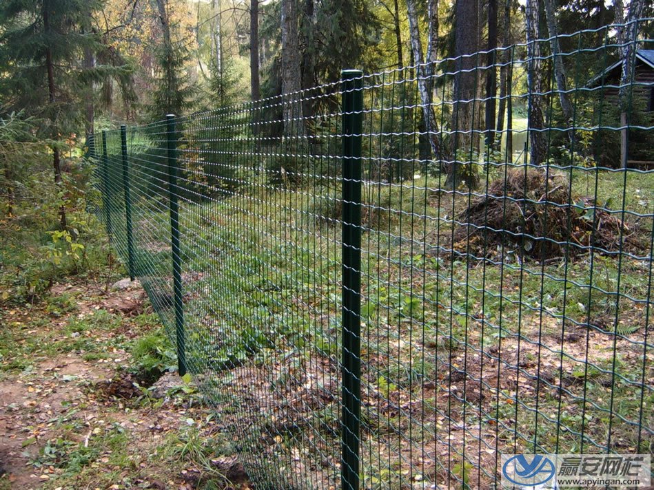 荷蘭網(wǎng)式鐵絲網(wǎng)圍欄 鐵絲網(wǎng)圍欄