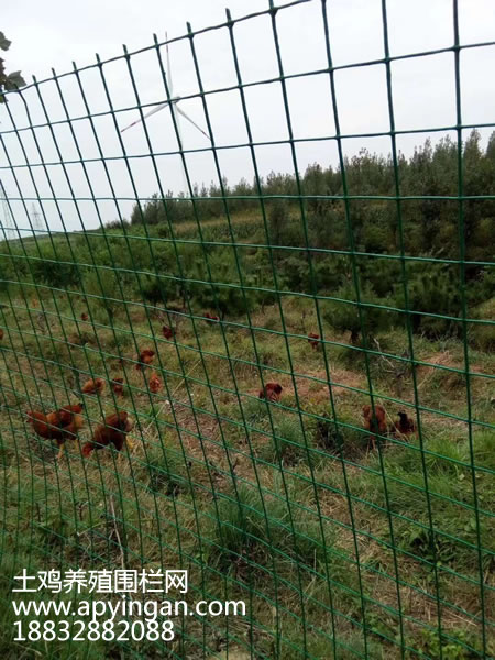 土雞養(yǎng)殖圍欄網