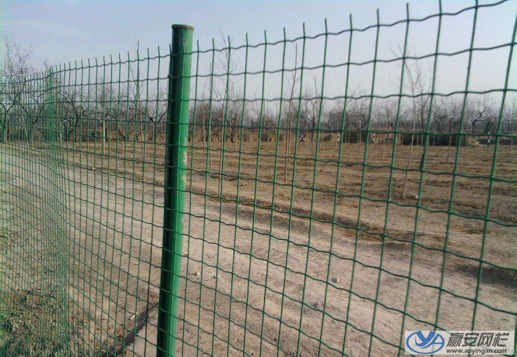 鐵絲網(wǎng)圍欄