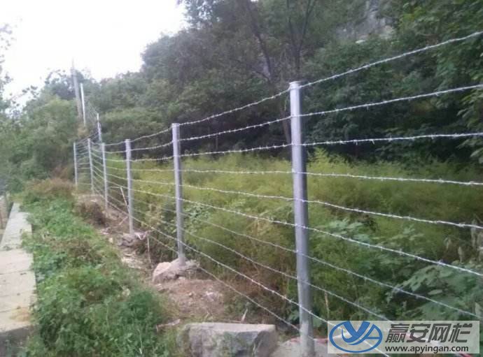 高速公路護(hù)欄網(wǎng)之刺繩 高速公路護(hù)欄網(wǎng)