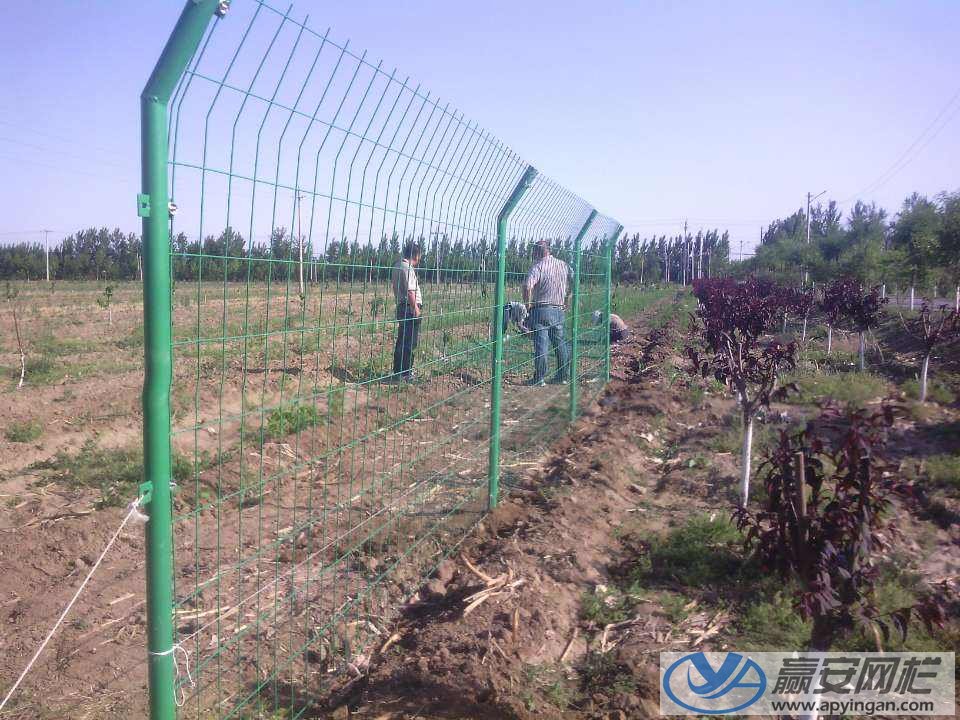 雙邊式土地圍欄網 土地圍欄網