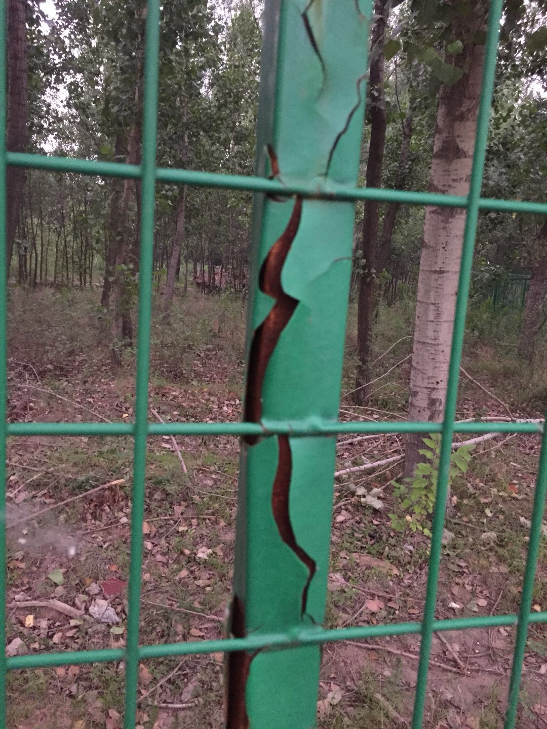 護(hù)欄網(wǎng)價(jià)格