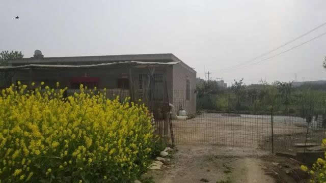 高速護(hù)欄網(wǎng)