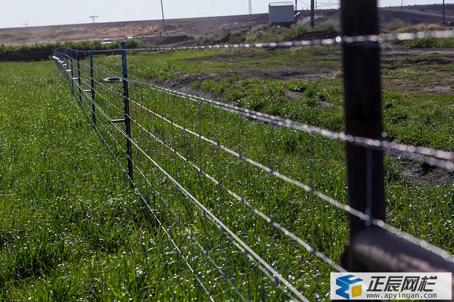 牛欄網 養殖場圍欄網