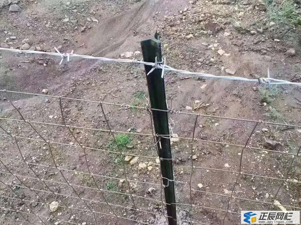 網圍欄簡易三角鐵立柱