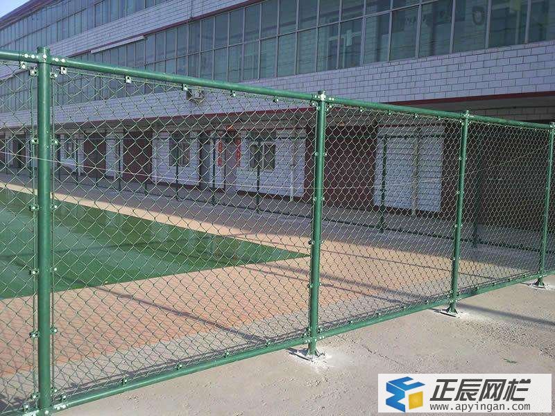 綠色隔離網圖片