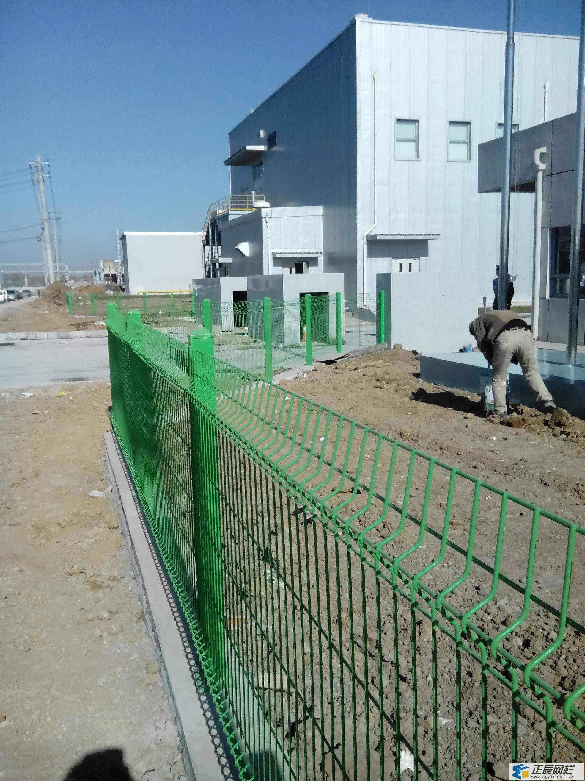 綠色隔離網圖片