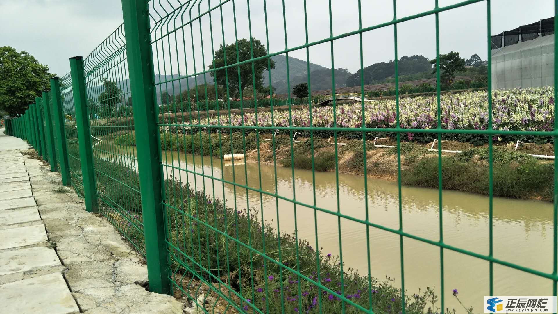 池塘護欄網