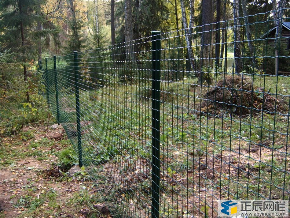 護欄網(wǎng)圖片