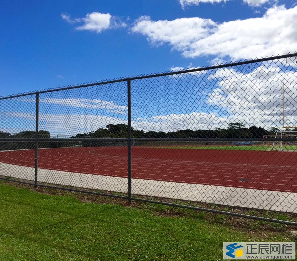 勾花護(hù)欄網(wǎng)