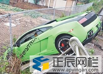 勾花護(hù)欄網(wǎng)