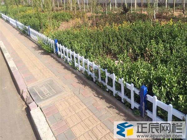 鋅鋼草坪護(hù)欄