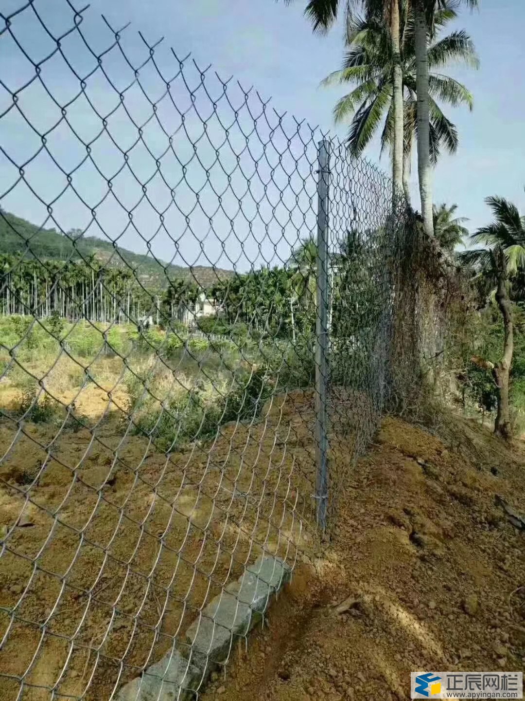 養(yǎng)殖勾花網(wǎng)護欄