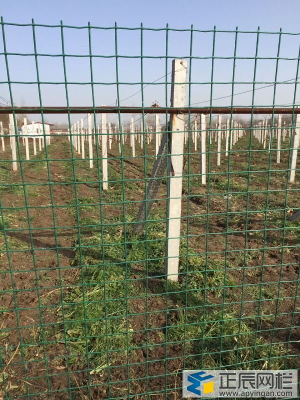 農場和果園圍欄網