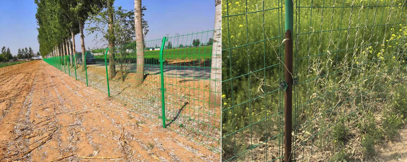 籃球場(chǎng)圍網(wǎng)廠家