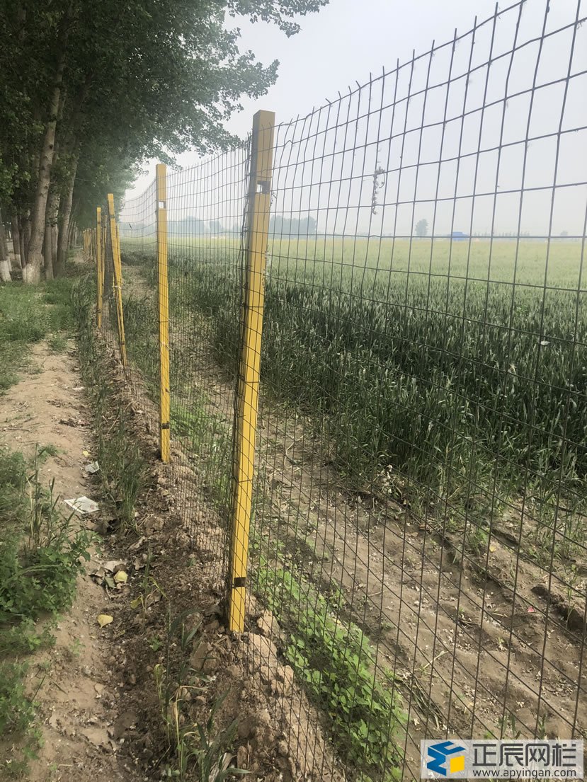 護(hù)欄網(wǎng)與玻璃鋼立柱的的結(jié)合