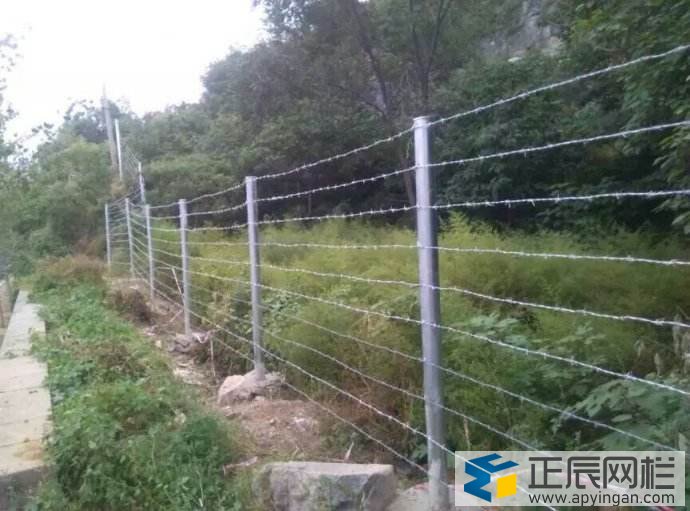 公路護欄網(wǎng)刺繩