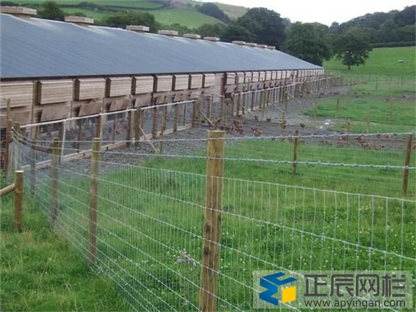 養(yǎng)殖護(hù)欄網(wǎng)